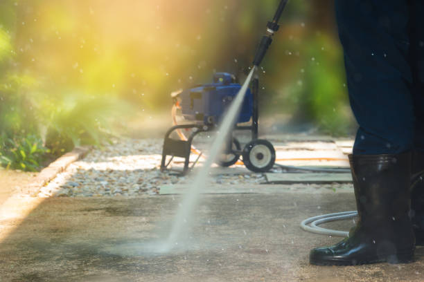 Animal Enclosure Cleaning in Bradford, PA